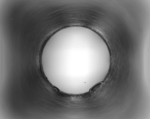 X0000088090345200706081754