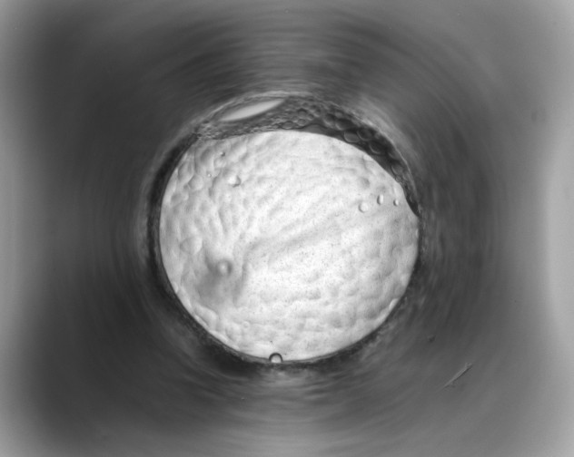 X0000088090346200706081754