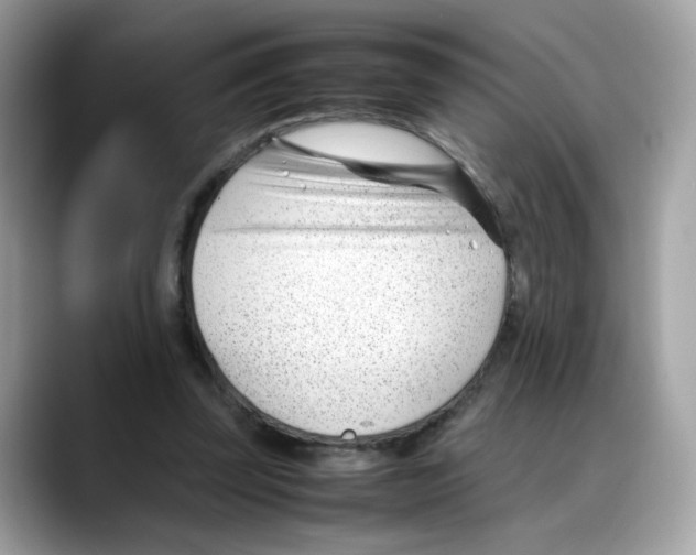 X0000088090347200706081754