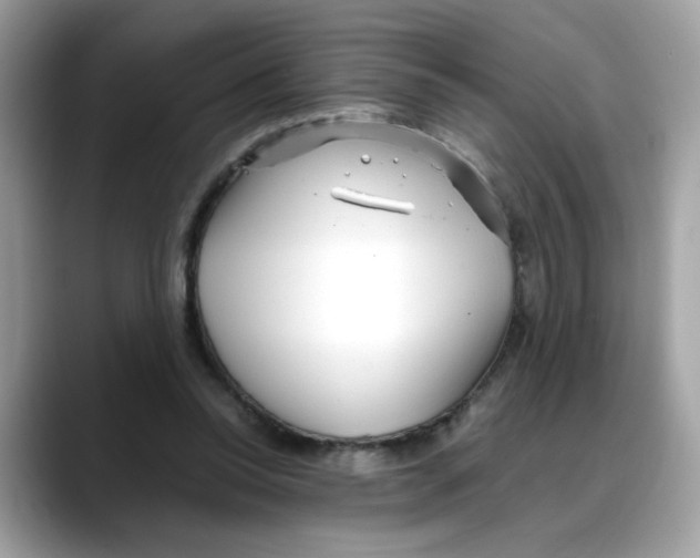X0000088090350200706081754