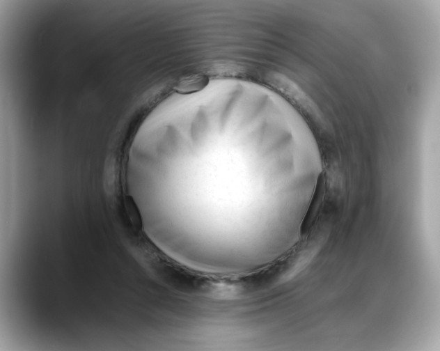 X0000088090352200706081754