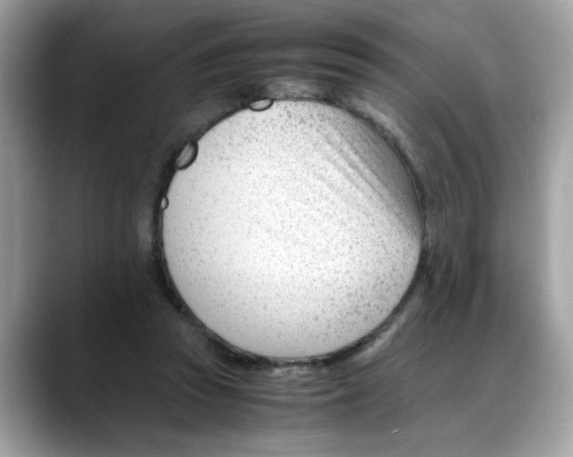 X0000088090353200706081754