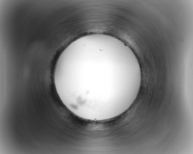 X0000088090354200706081754