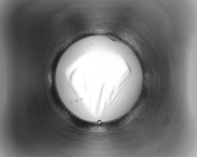 X0000088090358200706081755