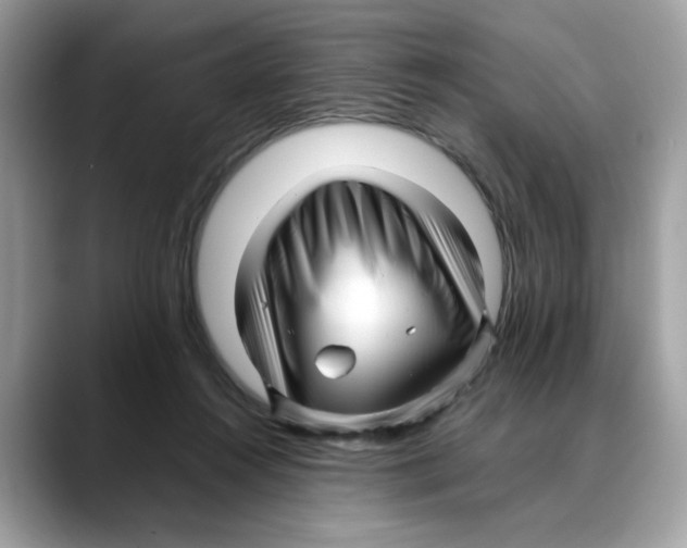 X0000088090360200706081755
