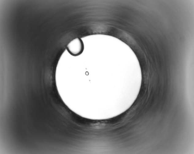 X0000088090362200706081755