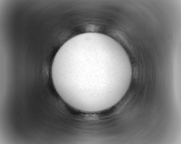 X0000088090363200706081755