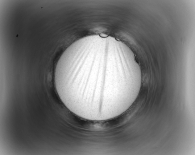 X0000088090365200706081755