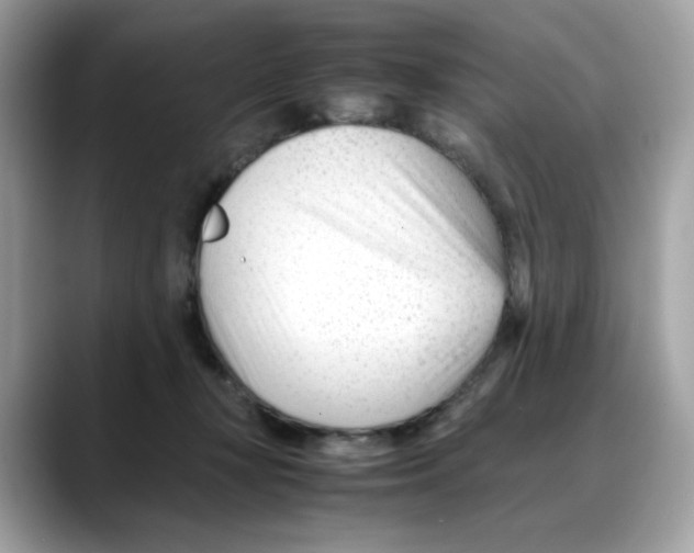 X0000088090367200706081755