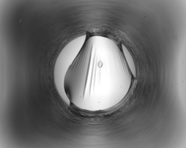 X0000088090368200706081755