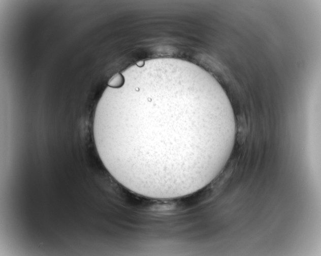 X0000088090369200706081755