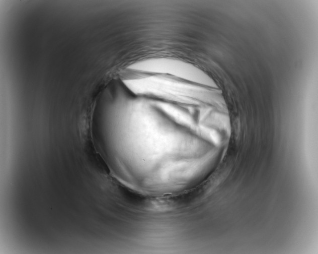 X0000088090372200706081755
