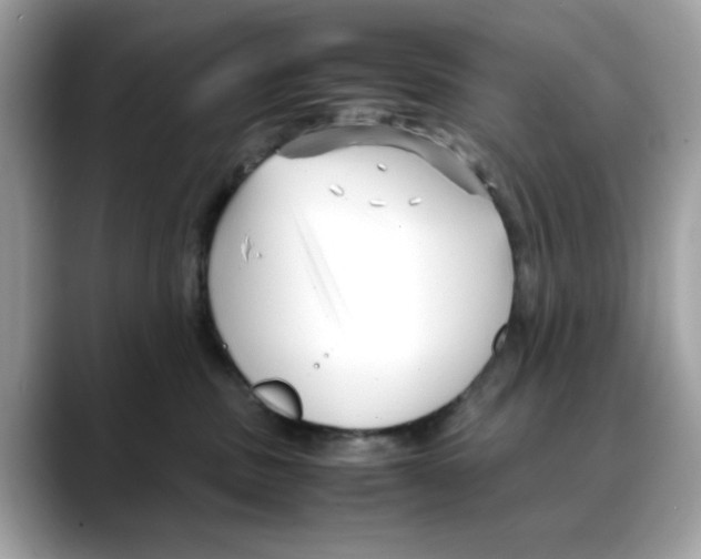 X0000088090379200706081755