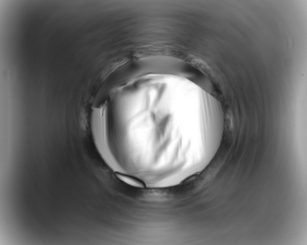 X0000088090380200706081755
