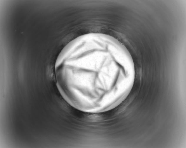 X0000088090383200706081755