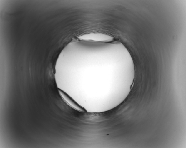 X0000088090384200706081755
