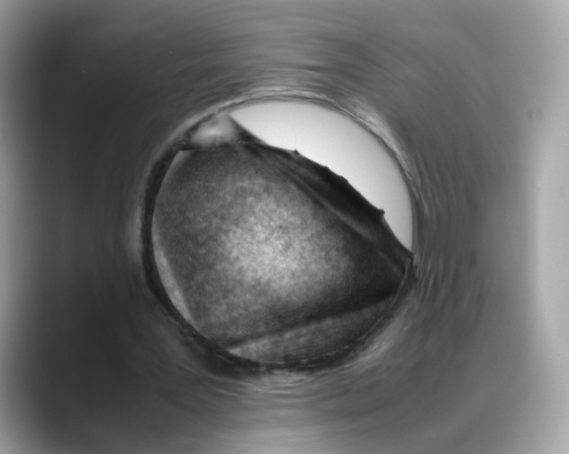 X0000088090387200706081754