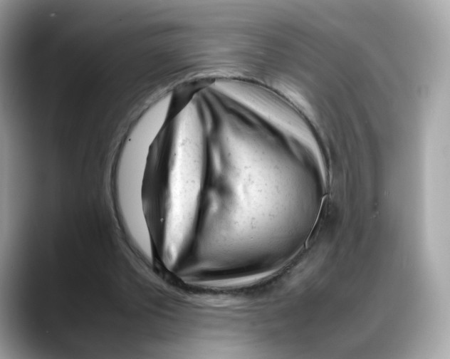 X0000088090389200706081754