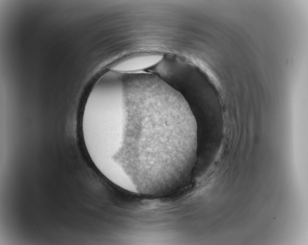 X0000088090391200706081754