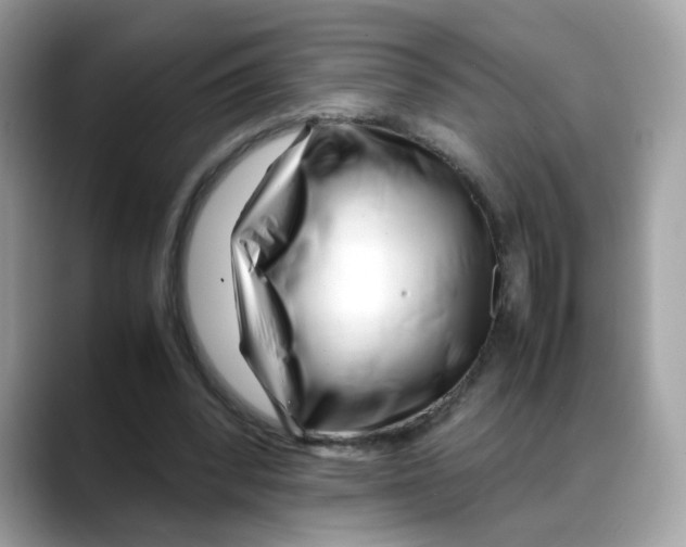 X0000088090392200706081754