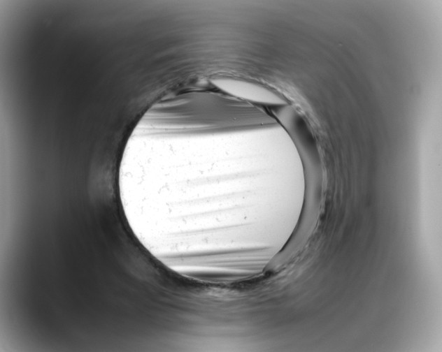X0000088090393200706081754