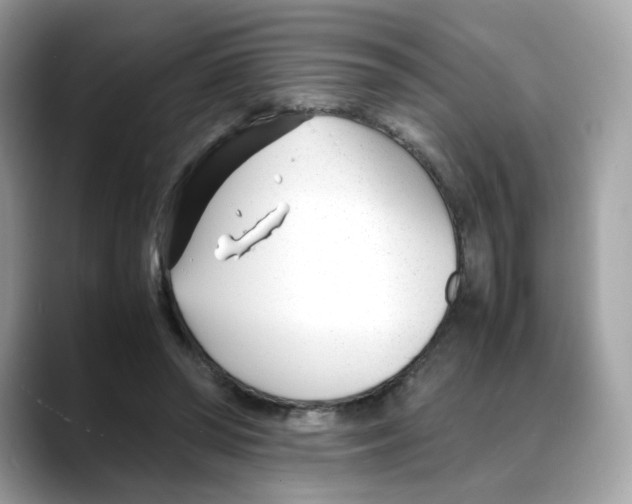 X0000088090398200706081754