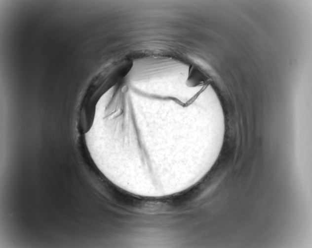 X0000088090399200706081754