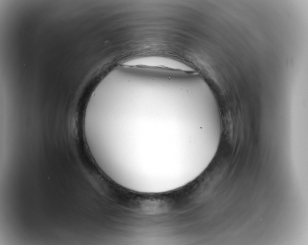 X0000088090400200706081754