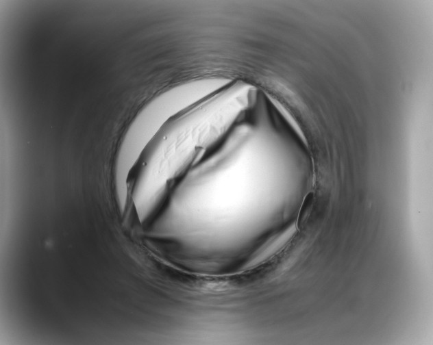 X0000088090401200706081754