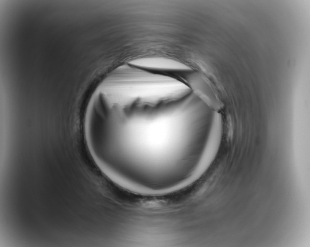 X0000088090407200706081754