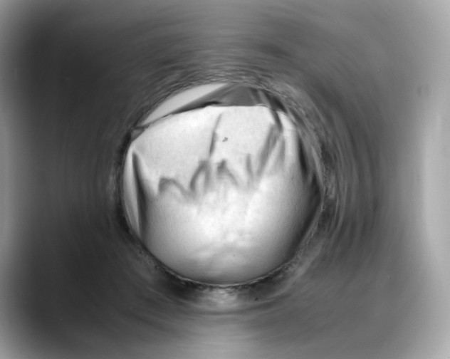 X0000088090409200706081754
