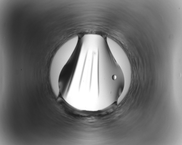 X0000088090411200706081754