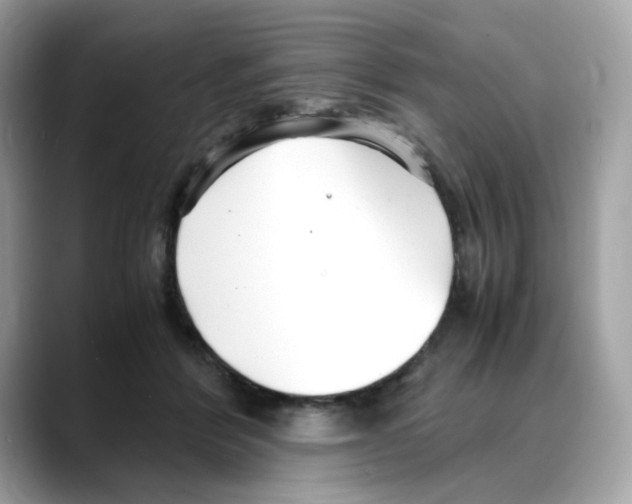 X0000088090412200706081754