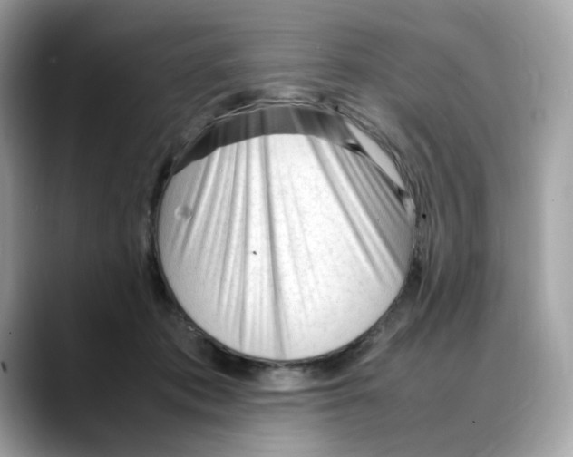X0000088090413200706081754