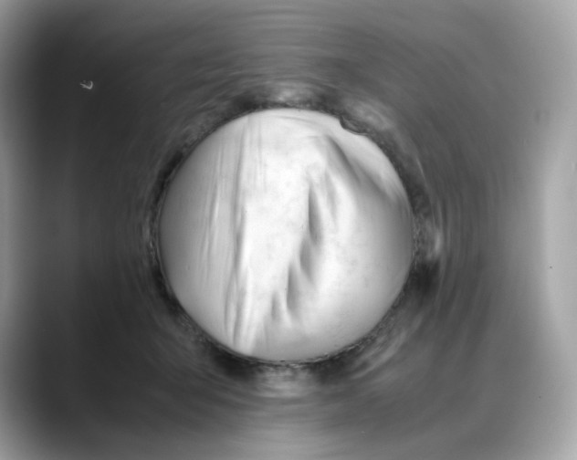 X0000088090415200706081754