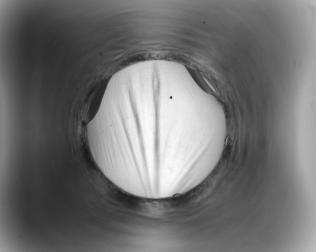 X0000088090417200706081754