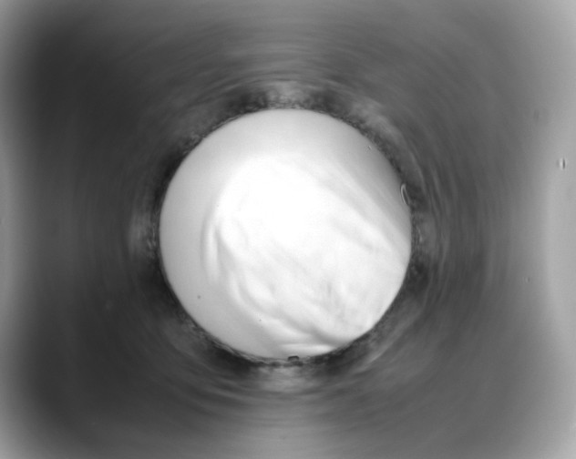 X0000088090419200706081754