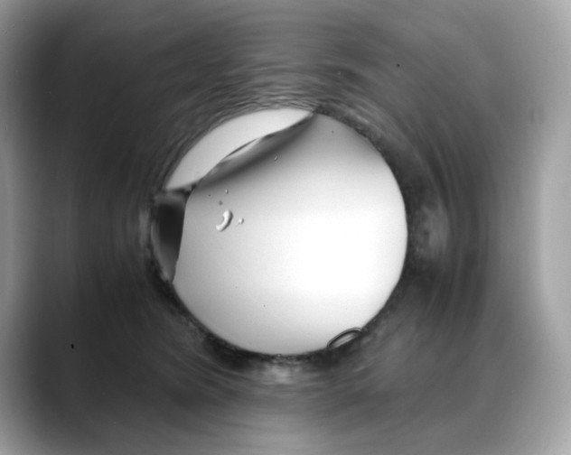 X0000088090420200706081754