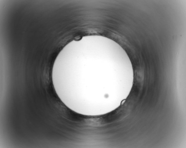 X0000088090422200706081754