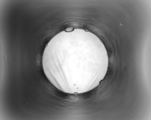 X0000088090423200706081754
