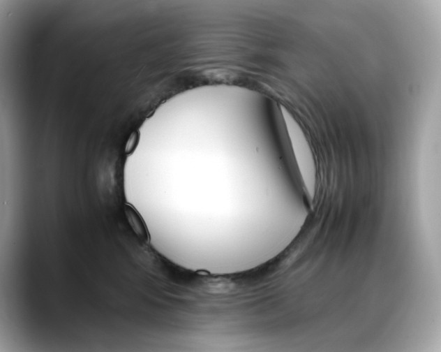 X0000088090424200706081754