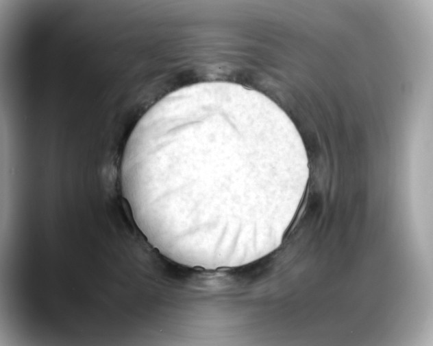 X0000088090427200706081754