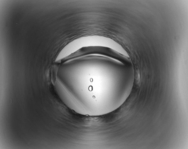 X0000088090428200706081754