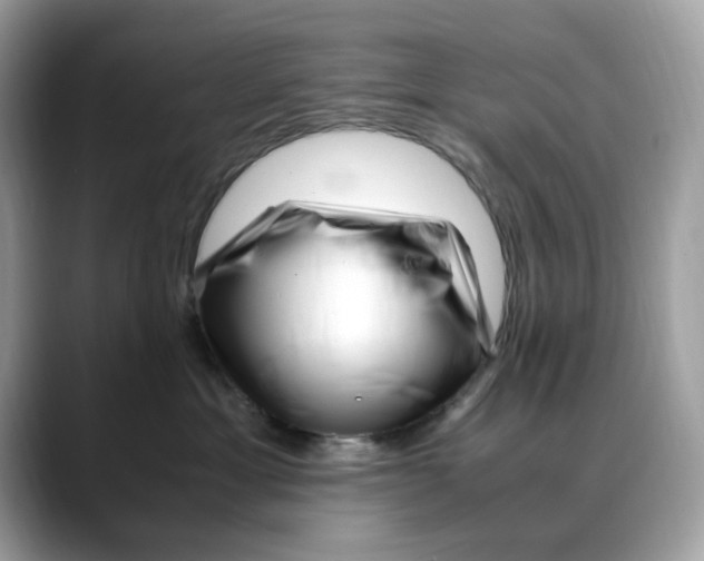 X0000088090429200706081754