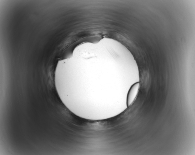 X0000088090430200706081754