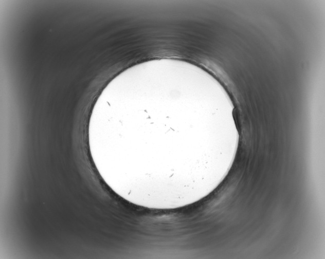 X0000088090433200706081753