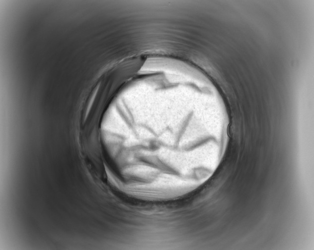 X0000088090434200706081753