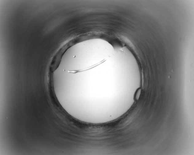 X0000088090435200706081753