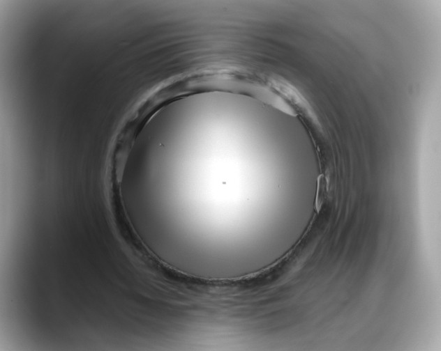X0000088090436200706081753