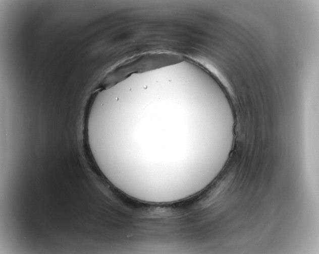 X0000088090437200706081753